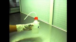 How to inoculate in Laminar air flow chamber [upl. by Ainitsirc]