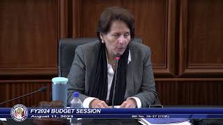 37th Guam Legislature FY2024 Budget Session  August 11 2023 AM [upl. by Anelav]