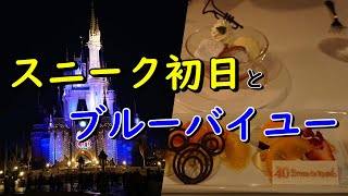 【ディズニーランド】スニーク初日の様子とブルーバイユー40周年記念メニュー【ハーモニー・イン・カラー】 [upl. by Aleicarg]