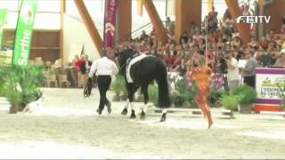 FEI World Vaulting Championships 2012  Le Mans  Individual Female [upl. by Okemak]