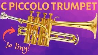 The HIGHEST trumpets ever made The C Piccolo Trumpet [upl. by Eppesiug]