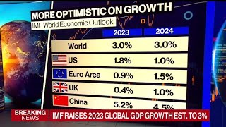 IMF Raises Global Growth Outlook [upl. by Ynaffital21]