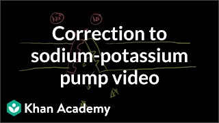 Correction to sodiumpotassium pump video  Health amp Medicine  Khan Academy [upl. by Omland]