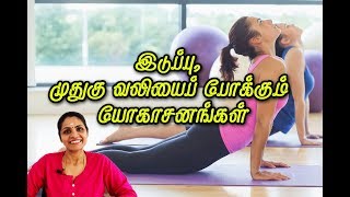 Yoga for Back Pain  இடுப்பு முதுகு வலியைப் போக்கும் யோகா PENTVTAMIL [upl. by Valenba]