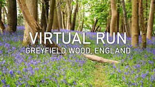 Virtual Run  Greyfield Wood in Spring  4K POV Treadmill Scenery [upl. by Wendy]