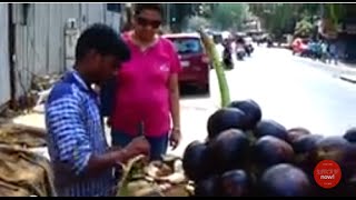 Taal Fruit Or Taal Saas AKA Taar Gola  Summer Season Street Food Of Mumbai Maharashtra India [upl. by Naasah]