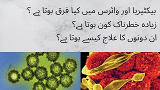 Bacteria vs Virus Urdu video [upl. by Ojeitak]