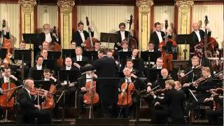 Beethoven Sinfonia 5 [upl. by Pedrotti]