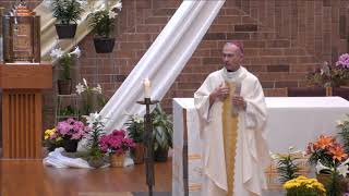 Homily for Easter Sunday Bishop Robert Morneau  4118 [upl. by Hukill]