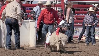 Kids get a taste of rodeo in the mutton busting event [upl. by Byron305]