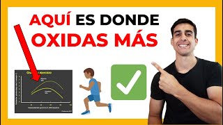 🥇 El SECRETO para OXIDAR quemar MAS GRASAS  METABOLISMO DE LOS LIPIDOS en el ejercicio [upl. by Edobalo]