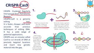 What is CRISPR  Cas9  CRISPR  Cas9 అంటే ఏమిటి  La Excellence [upl. by Libna]