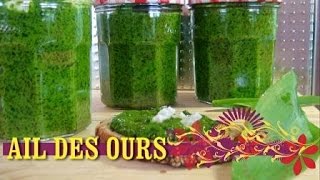 PESTO AIL DES OURS [upl. by Powers]