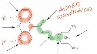 Farmacoquímica del sistema nervioso autónomo Control de Colinérgicos y adrenérgicos [upl. by Alikam494]