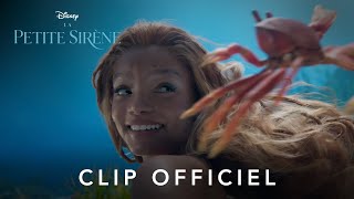 La Petite Sirène  Clip officiel  Sous locéan VF  Disney BE [upl. by Ahsenar173]