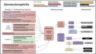 Glomerulonephritis mechanism of disease [upl. by Acinat42]