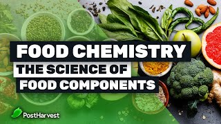 Food Chemistry  The Science of Food Components [upl. by Martz]