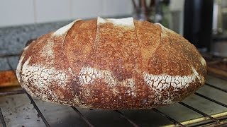 How to Make Sourdough Bread by Feel No Recipe [upl. by Neufer]