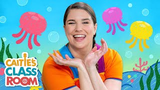 The Jellyfish  Songs from Caities Classroom  Dance amp Movement for Kids [upl. by Cecilla336]