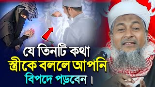 স্ত্রীকে যে তিনটি কথা বললে আপনি বিপদে পড়বেন┇Joynal Abedin waz┇মাওলানা জয়নাল আবেদীন┇Waz 2824 [upl. by Adnovay]