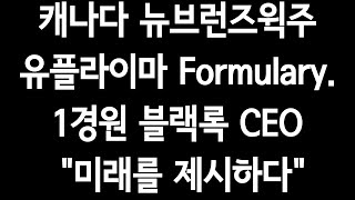 캐나다 뉴브런즈윅주 유플라이마 Formulary1경원블랙록CEOquot미래를 제시하다quot수백배폭등은quot4차산업quot [upl. by Munmro]