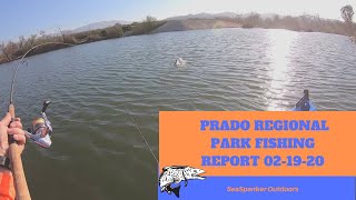 Prado Regional Park Fishing Report 21920 [upl. by Nashoma]