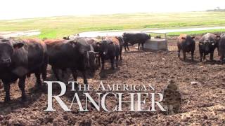 American Rancher  American Simmental Association [upl. by Lindgren]