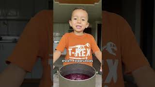 Jugo de Uva 🍇 cocinandoconmatthew jugonatural uva saludable batidosaludable smoothie fyp fy [upl. by Adiaz]