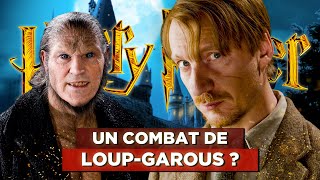 7 THÉORIES HARRY POTTER qui étaient FAUSSES [upl. by Reis]