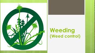 Methods of weed control NCERT CBSE Chapter 1 Crop Production and Management Class 8 [upl. by Uria]