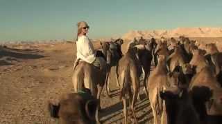 Camel rides through the Desert in Egypt [upl. by Annaerda691]