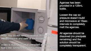 Agarose Gel Preparation [upl. by Samella]