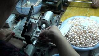 Freshwater Culture Pearls production [upl. by Nauqed884]