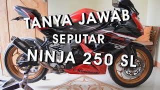 TANYA JAWAB SEPUTAR NINJA 250 SL ATAU NINJA RR MONO [upl. by Namyl]