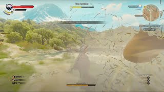 The Witcher 3 Horse Race Toussaint Tournament Death March PS4 Pro [upl. by Aelanej267]