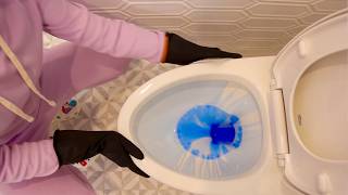 The Essential Guide to Cleaning a Toilet  StepbyStep Tutorial 🚽 ✨ [upl. by Eeliab]