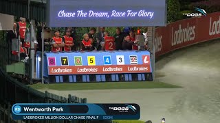 Ladbrokes Million Dollar Chase Final [upl. by Hurwitz]