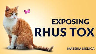 Rhus Tox Exposed Indications Materia medica Dr Sushil Dubey Aeon Homeopathy [upl. by Renie472]