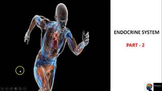 Endocrine System  ICSE Class 10th BiologyPart 2 [upl. by Kashden]