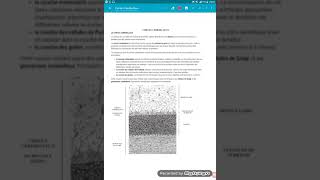 🔴 Neuroanatomie Artères du Cerveau Expliquées Très Clairement par Dr Astuce [upl. by Ladnyc]