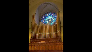 LATRY Dupré Prelude in F min at St Patricks DC [upl. by Ohploda]