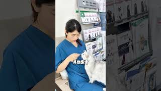 如何教会小猫认自己名字，能够随叫随到 新手养猫 召唤猫咪 猫咪名字 养猫经验 养猫日常 [upl. by Nnylaj558]