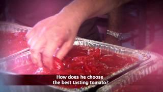 2014 Tomato Tasting [upl. by Pandora]