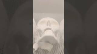 post processing 3d printed skulls [upl. by Plerre907]