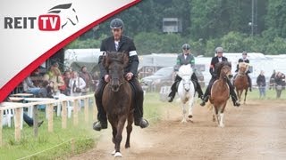 Gangpferdeprüfung  die Isländer zeigen ihr Können auf der EQUITANA Open Air 2012 [upl. by Thurstan]