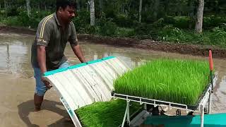 समय की बचत और पैसे की बचत करने वाली मशीन paddy transplanter [upl. by Candace]