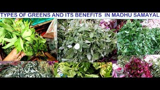 Keerai varieties and its benefits part 1  Types of greens guide for beginners [upl. by Ennaid]