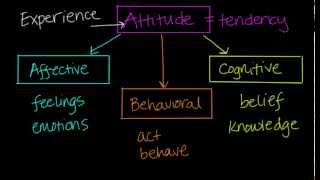 Components of Attitudes [upl. by Austen]