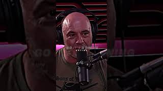 Joe Rogan Gets Pulled Over [upl. by Ferretti]