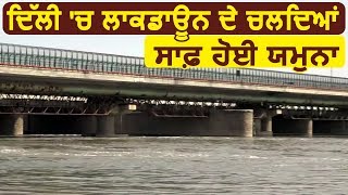 Delhi में Lockdown के चलते Clean हुई Yamuna [upl. by Ahs953]